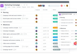 How To Use Asana For Project Management